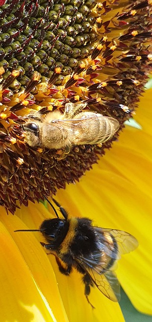 JavaScript ile Bildirim API Kullanımı